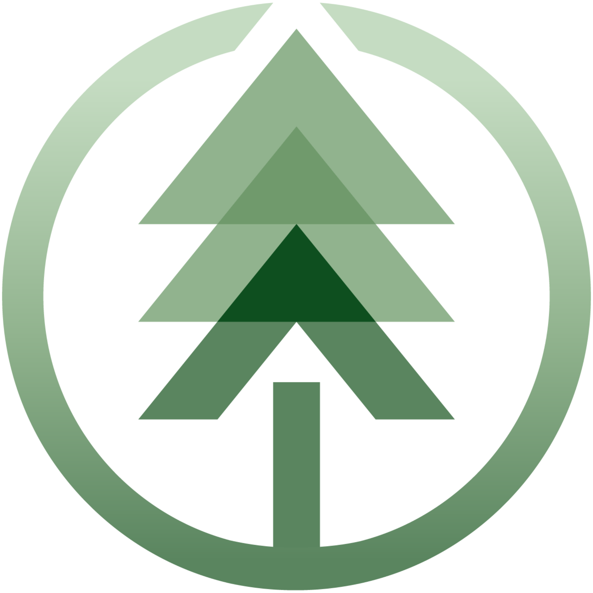 Evergreen